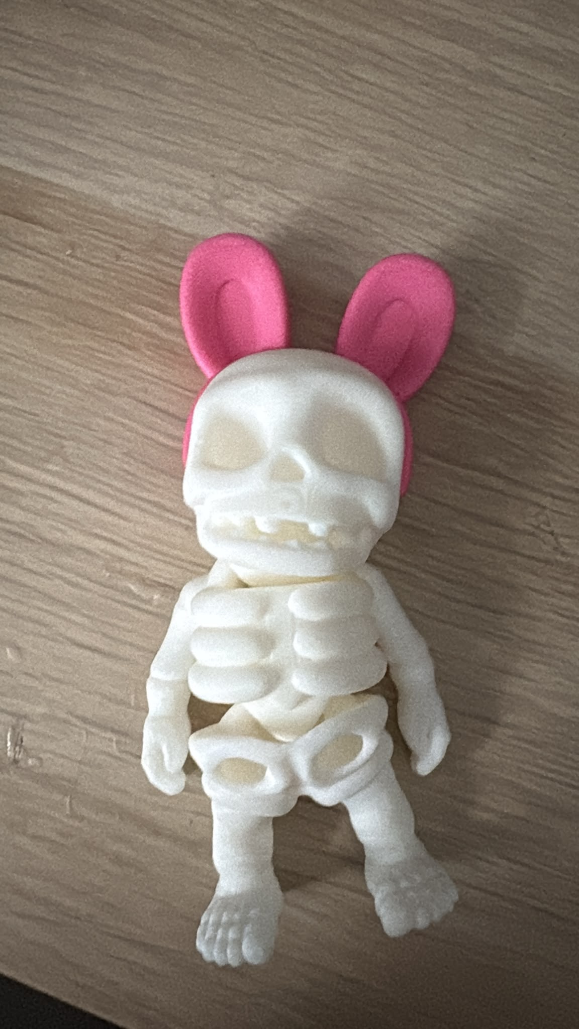 Flexi Skeleton Toys 5 to collect!